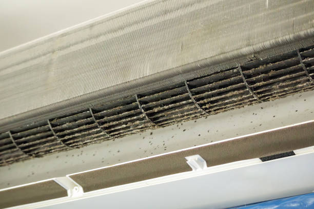 Best Emergency Air Duct Cleaning  in Ocean Ridge, FL